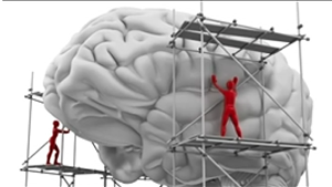Vídeo Reflexiones sobre el cerebro