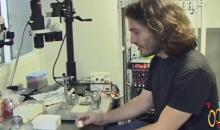 Bioingeniería Neuronal
